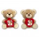 PHOTO TEDDY KIT 6 PCS