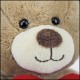 PHOTO TEDDY KIT 6 PCS