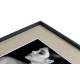 CORNICE ENGLAND B