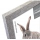 CORNICE DONECK B 13X18